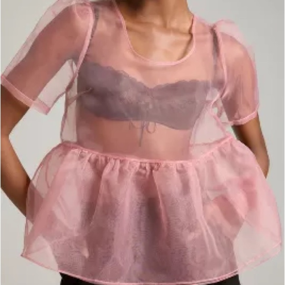EUC ANTHROPOLOGIE SHEER PEPLUM BABYDOLL TOP - Womens 3X